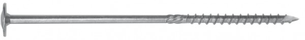 Spanplattenschr. Tellerkopf TX25 6,0x40 -160mm